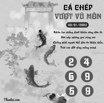 CÁ CHÉP VƯỢT VŨ MÔN 03/01/2023