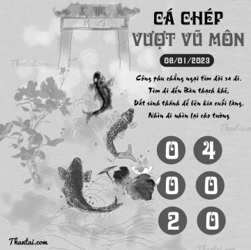 CÁ CHÉP VƯỢT VŨ MÔN 08/01/2023