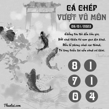 CÁ CHÉP VƯỢT VŨ MÔN 09/01/2023