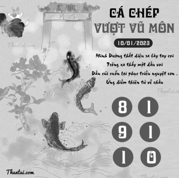 CÁ CHÉP VƯỢT VŨ MÔN 10/01/2023