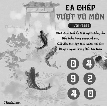 CÁ CHÉP VƯỢT VŨ MÔN 11/01/2023