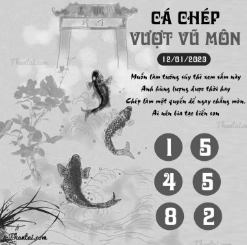 CÁ CHÉP VƯỢT VŨ MÔN 12/01/2023