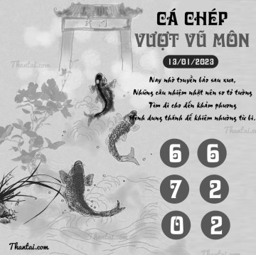 CÁ CHÉP VƯỢT VŨ MÔN 13/01/2023