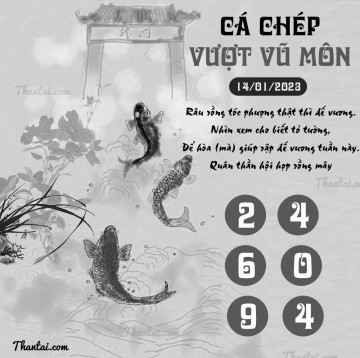 CÁ CHÉP VƯỢT VŨ MÔN 14/01/2023