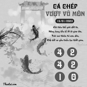 CÁ CHÉP VƯỢT VŨ MÔN 15/01/2023