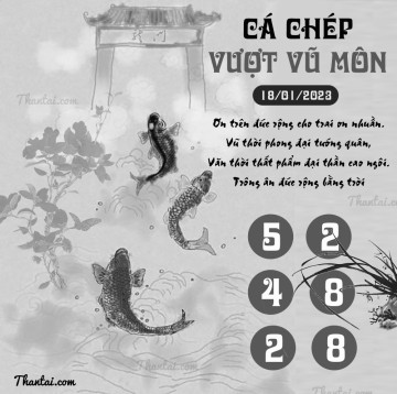 CÁ CHÉP VƯỢT VŨ MÔN 18/01/2023