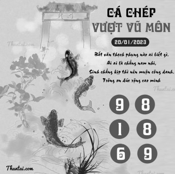 CÁ CHÉP VƯỢT VŨ MÔN 20/01/2023