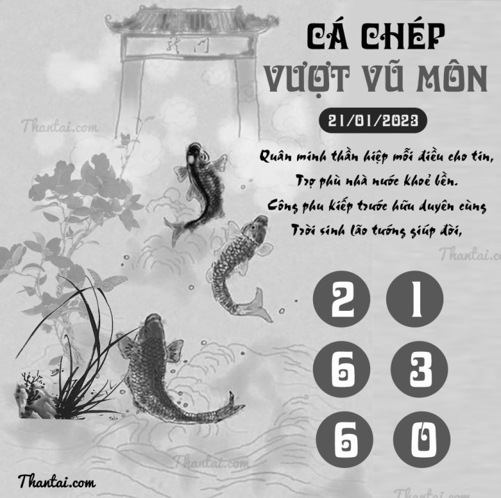 CÁ CHÉP VƯỢT VŨ MÔN 06/01/2023