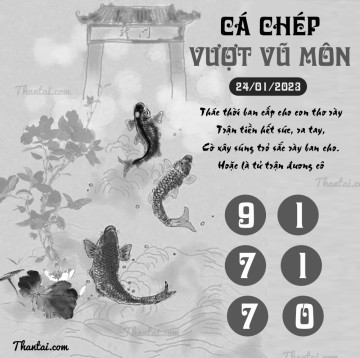 CÁ CHÉP VƯỢT VŨ MÔN 24/01/2023