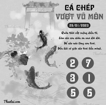 CÁ CHÉP VƯỢT VŨ MÔN 25/01/2023