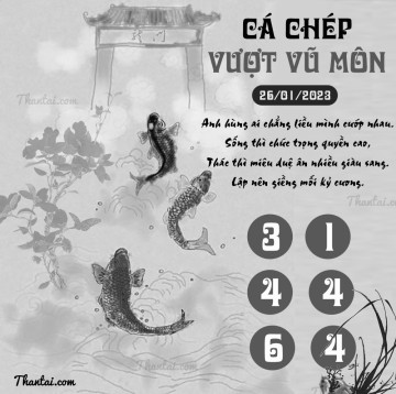 CÁ CHÉP VƯỢT VŨ MÔN 26/01/2023