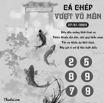 CÁ CHÉP VƯỢT VŨ MÔN 27/01/2023