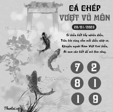 CÁ CHÉP VƯỢT VŨ MÔN 28/01/2023