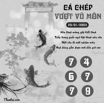 CÁ CHÉP VƯỢT VŨ MÔN 29/01/2023