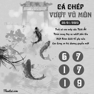 CÁ CHÉP VƯỢT VŨ MÔN 30/01/2023