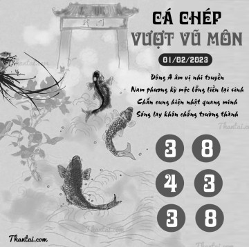 CÁ CHÉP VƯỢT VŨ MÔN 01/02/2023