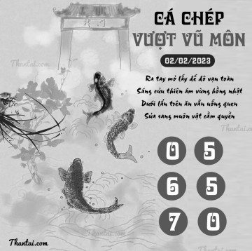 CÁ CHÉP VƯỢT VŨ MÔN 02/02/2023