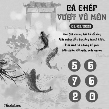 CÁ CHÉP VƯỢT VŨ MÔN 03/02/2023