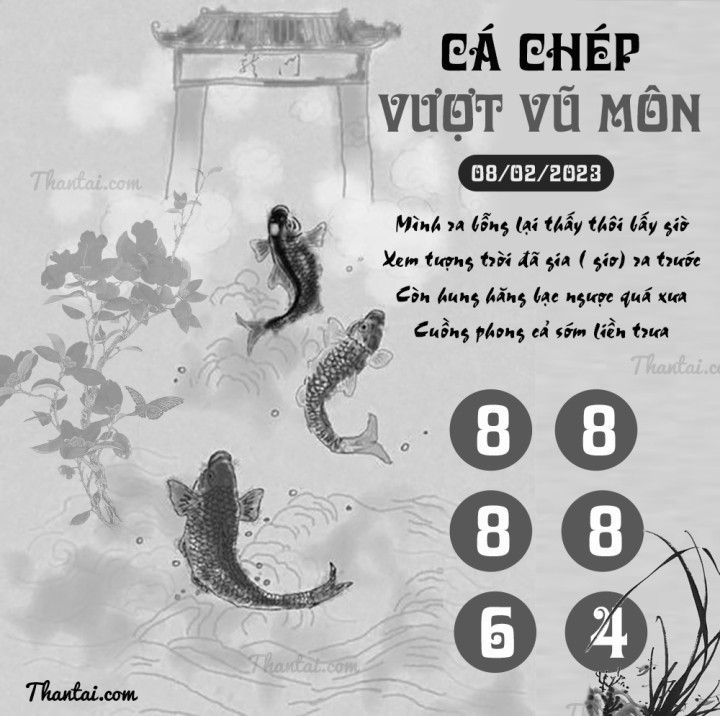 CÁ CHÉP VƯỢT VŨ MÔN 24/01/2023