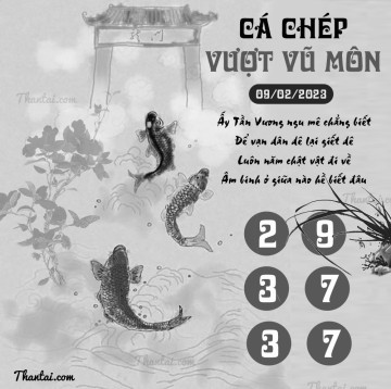 CÁ CHÉP VƯỢT VŨ MÔN 09/02/2023