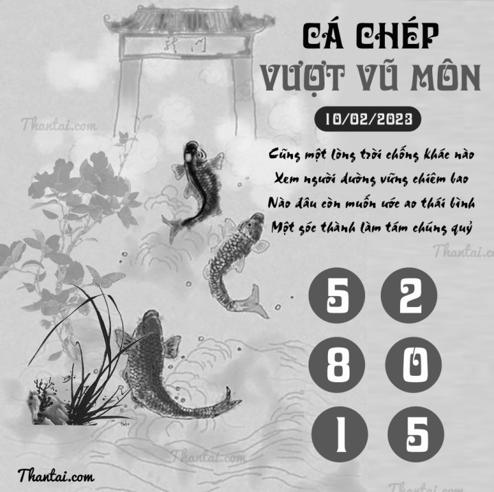 CÁ CHÉP VƯỢT VŨ MÔN 26/01/2023