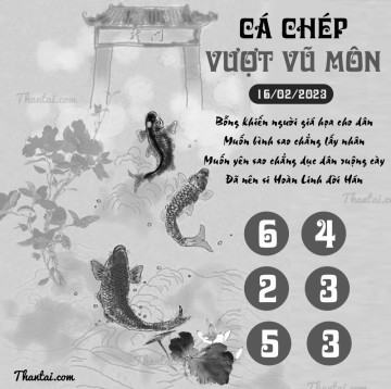 CÁ CHÉP VƯỢT VŨ MÔN 16/02/2023