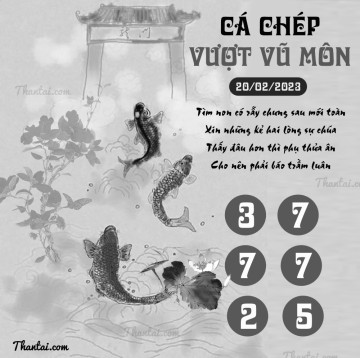 CÁ CHÉP VƯỢT VŨ MÔN 20/02/2023