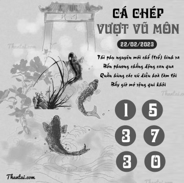 CÁ CHÉP VƯỢT VŨ MÔN 22/02/2023