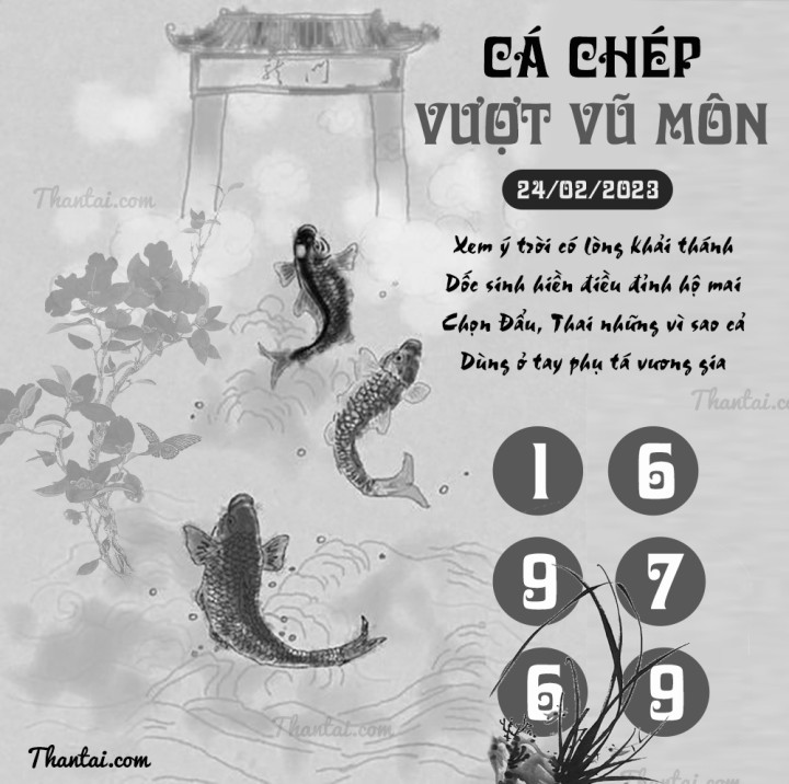 CÁ CHÉP VƯỢT VŨ MÔN 09/02/2023