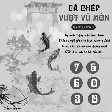 CÁ CHÉP VƯỢT VŨ MÔN 26/02/2023