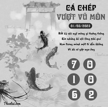 CÁ CHÉP VƯỢT VŨ MÔN 01/03/2023