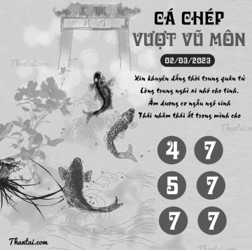 CÁ CHÉP VƯỢT VŨ MÔN 02/03/2023