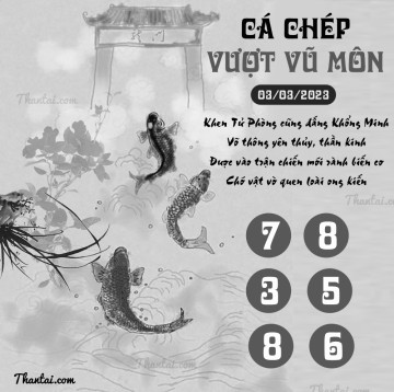 CÁ CHÉP VƯỢT VŨ MÔN 03/03/2023