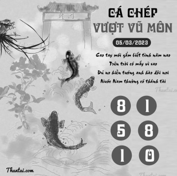 CÁ CHÉP VƯỢT VŨ MÔN 05/03/2023