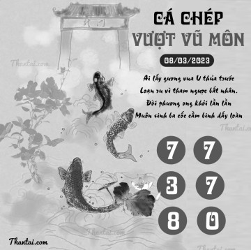 CÁ CHÉP VƯỢT VŨ MÔN 08/03/2023