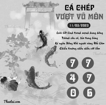 CÁ CHÉP VƯỢT VŨ MÔN 11/03/2023