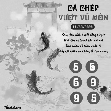 CÁ CHÉP VƯỢT VŨ MÔN 12/03/2023