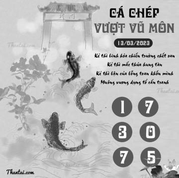 CÁ CHÉP VƯỢT VŨ MÔN 13/03/2023