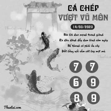 CÁ CHÉP VƯỢT VŨ MÔN 14/03/2023