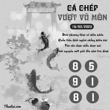 CÁ CHÉP VƯỢT VŨ MÔN 16/03/2023