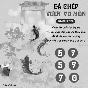 CÁ CHÉP VƯỢT VŨ MÔN 18/03/2023