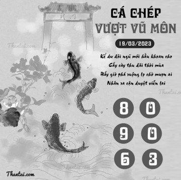 CÁ CHÉP VƯỢT VŨ MÔN 19/03/2023