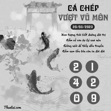 CÁ CHÉP VƯỢT VŨ MÔN 20/03/2023