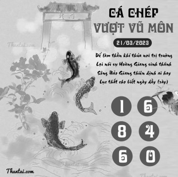 CÁ CHÉP VƯỢT VŨ MÔN 21/03/2023