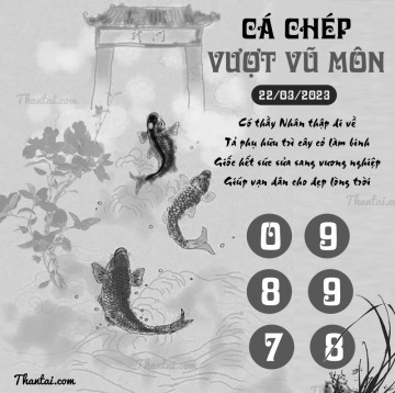 CÁ CHÉP VƯỢT VŨ MÔN 22/03/2023