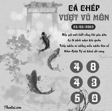 CÁ CHÉP VƯỢT VŨ MÔN 23/03/2023