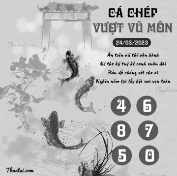 CÁ CHÉP VƯỢT VŨ MÔN 24/03/2023