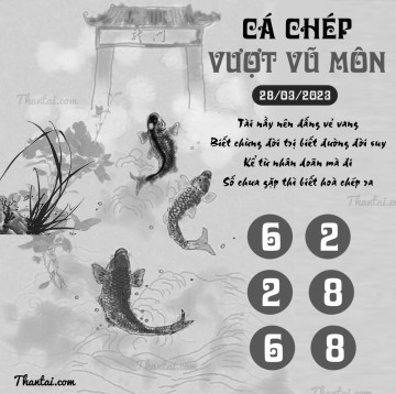 CÁ CHÉP VƯỢT VŨ MÔN 28/03/2023