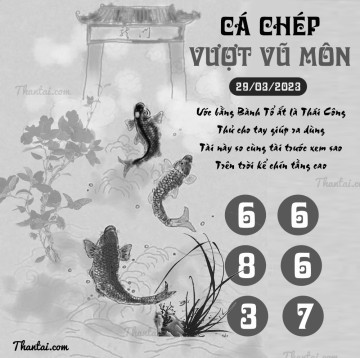 CÁ CHÉP VƯỢT VŨ MÔN 29/03/2023