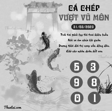 CÁ CHÉP VƯỢT VŨ MÔN 31/03/2023